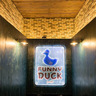 Фотография: Банкетный зал Funny Duck Pub