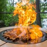Фотография: Кейтеринг Molecule Catering