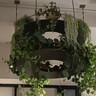 Фотография: Ресторан Сам пришёл на Войковской