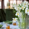 Фотография: Ресторан Chalet River Club